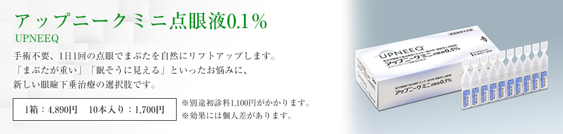 アップニークミニ